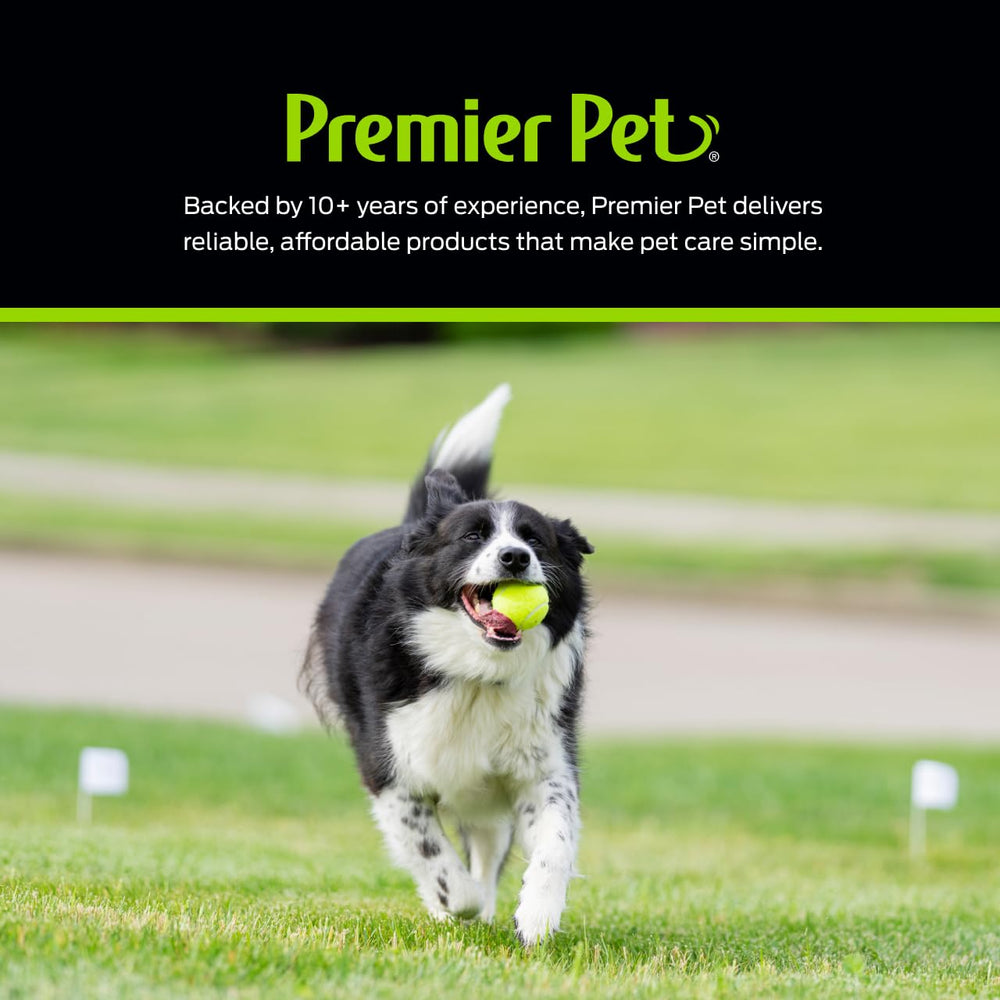Premier Pet collar offers tone mode for gentle guidance during training.