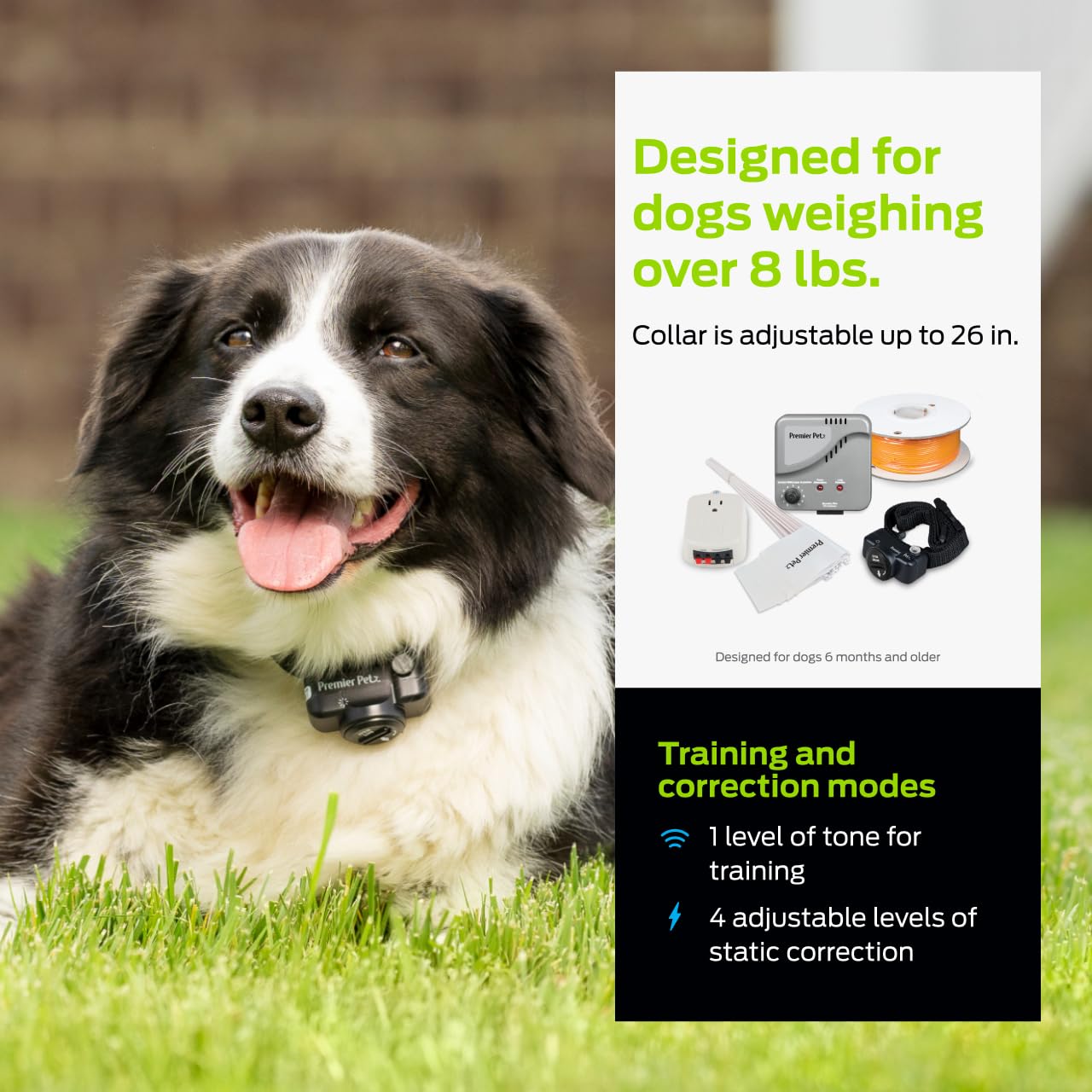 Premier Pet boundary flags help mark safe zones during training.