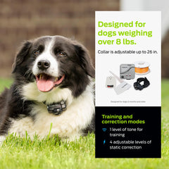 Premier Pet boundary flags help mark safe zones during training.