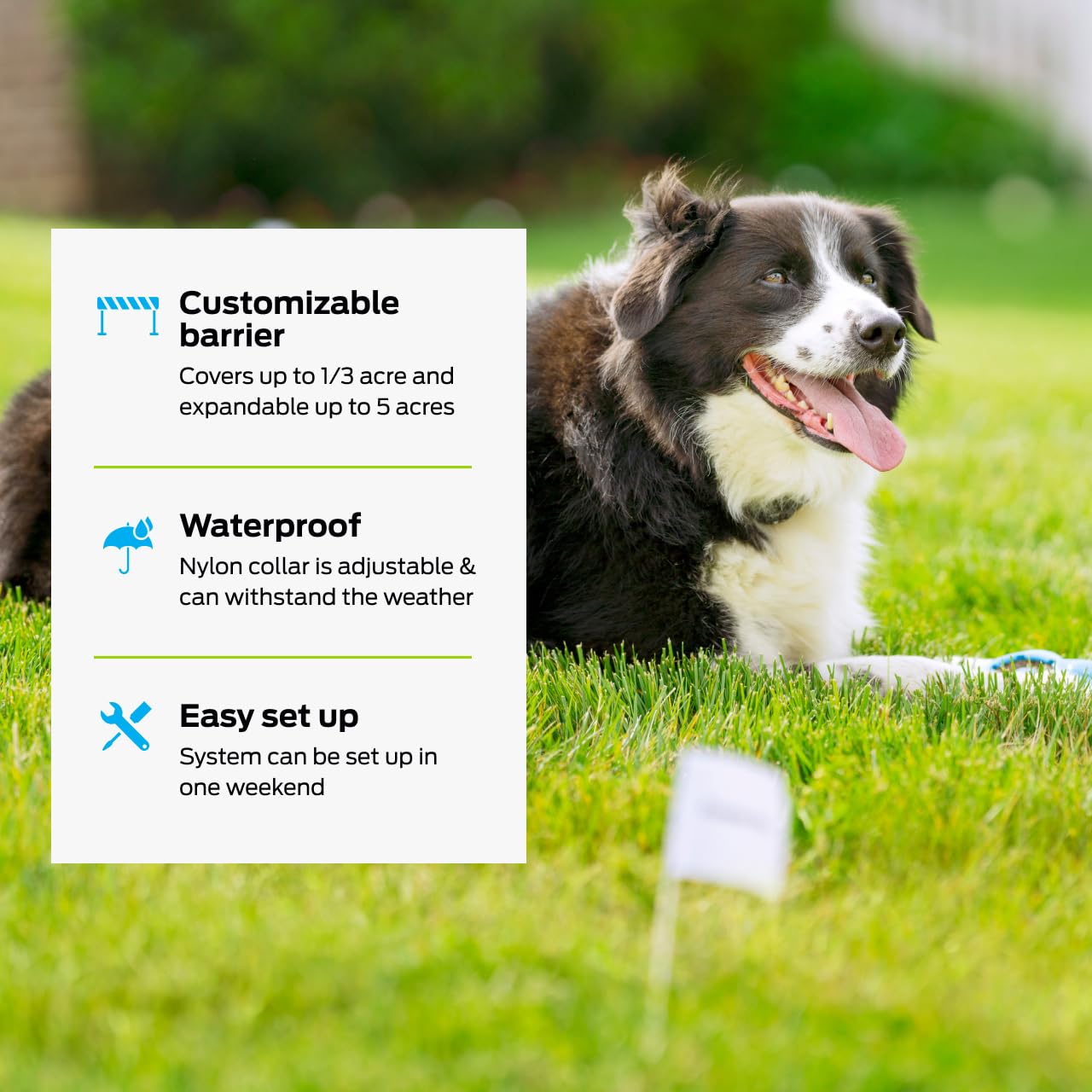 Premier Pet waterproof receiver collar provides durable outdoor use with a comfortable fit.