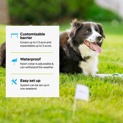 Premier Pet waterproof receiver collar provides durable outdoor use with a comfortable fit.