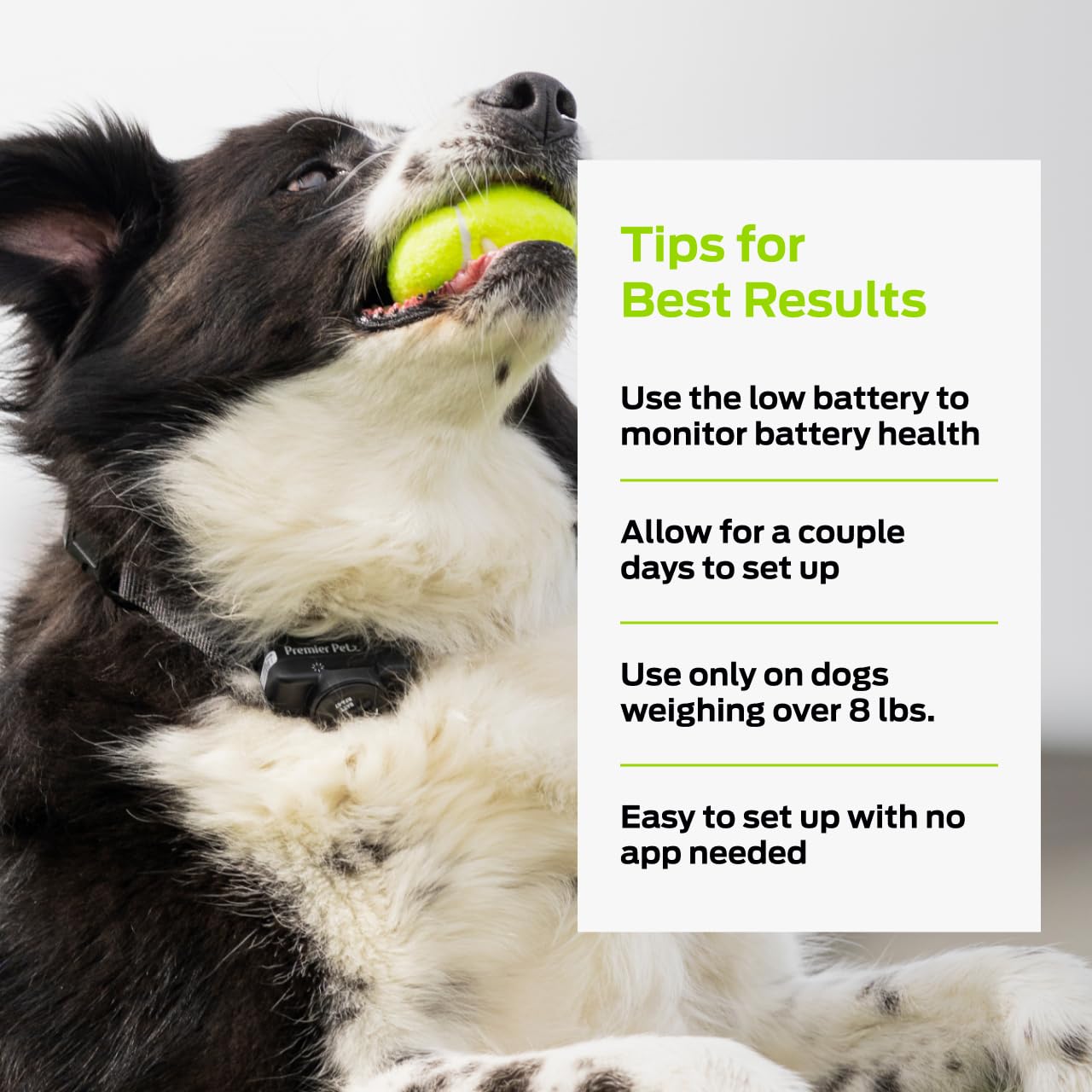 Premier Pet low battery indicator on collar
