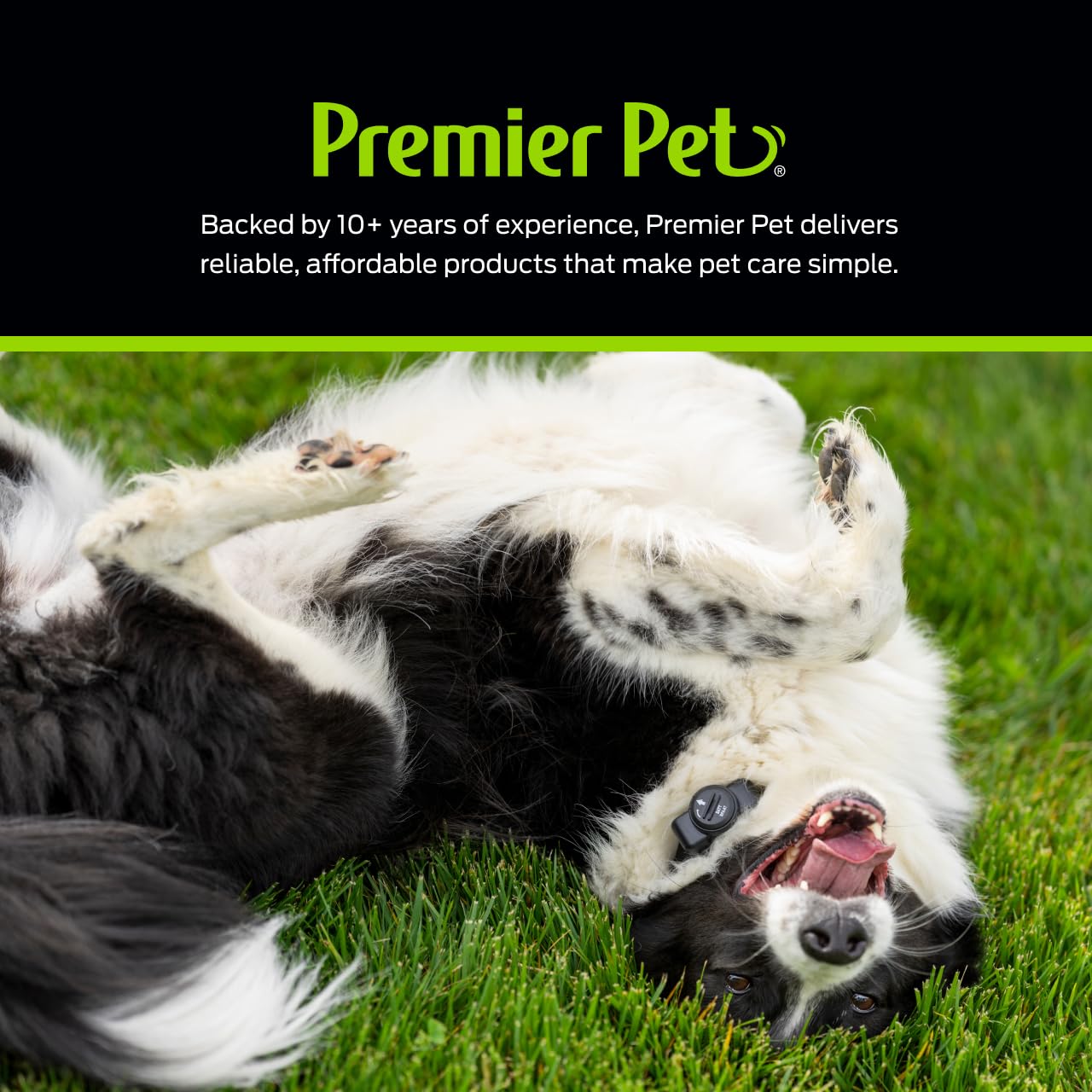 Premier Pet multi-dog yard expansion supports growing families