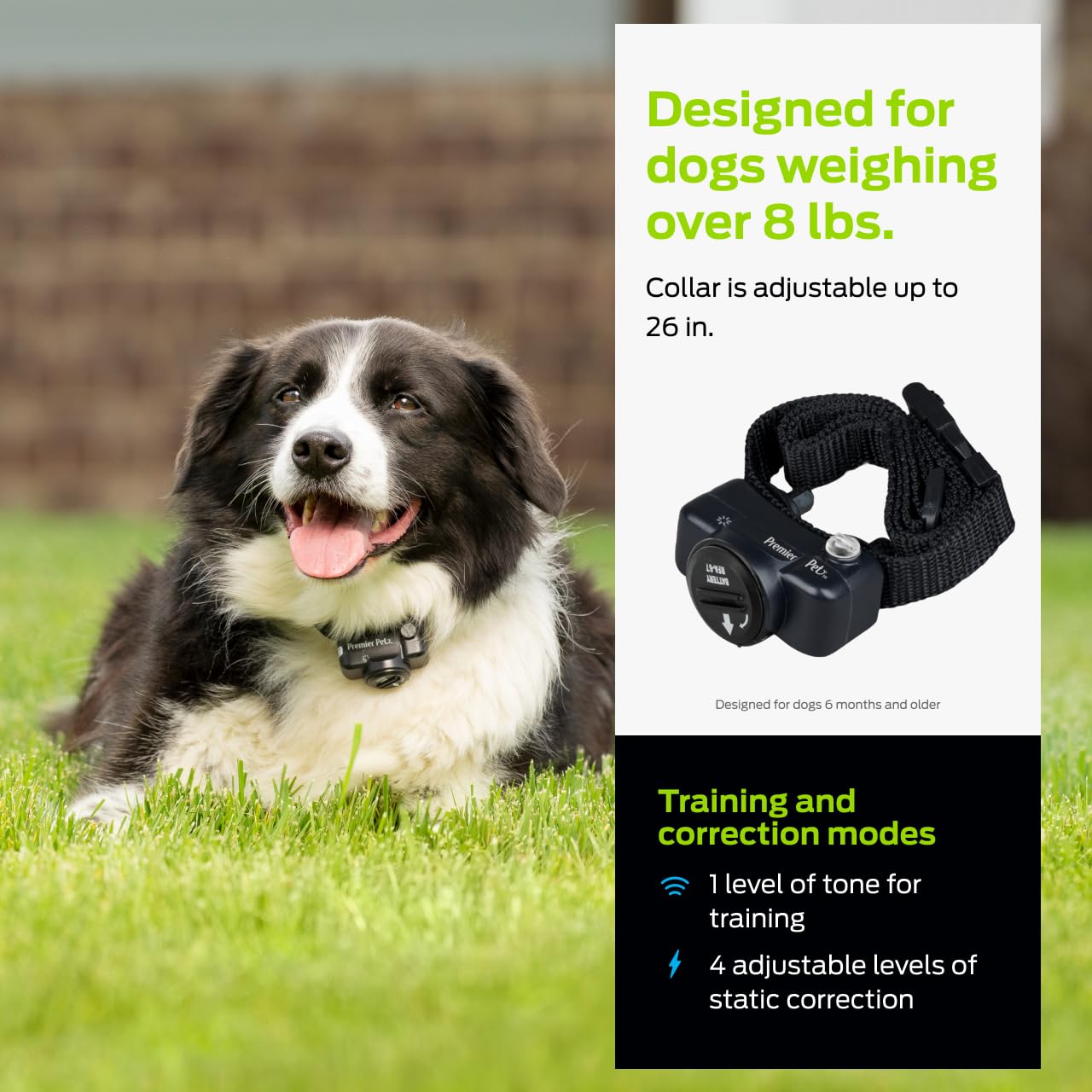 Premier Pet static-correction levels and tone mode for tailored training