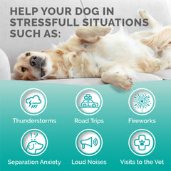Relaxed dog after taking Premium Care calming chews