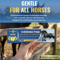Premium Horse Paste Gel travel-ready packaging shown for barn-to-show use.