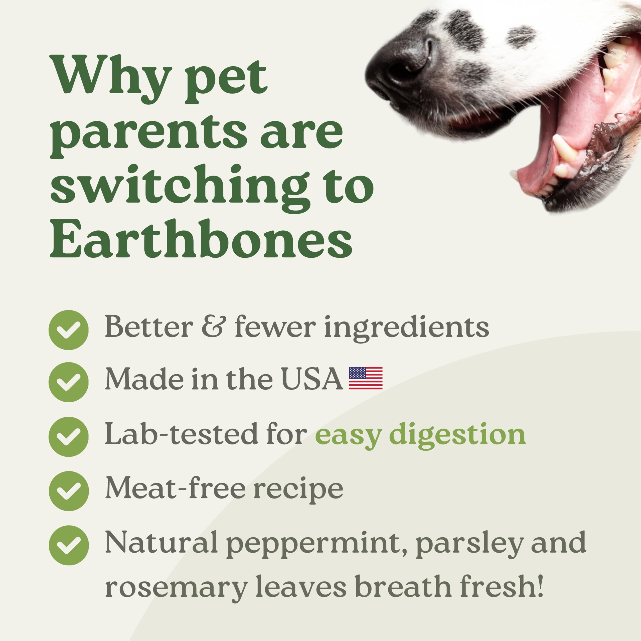 Presidio Earthbones texture closeup showcases vegan, gluten-free ingredients for dietary variety.