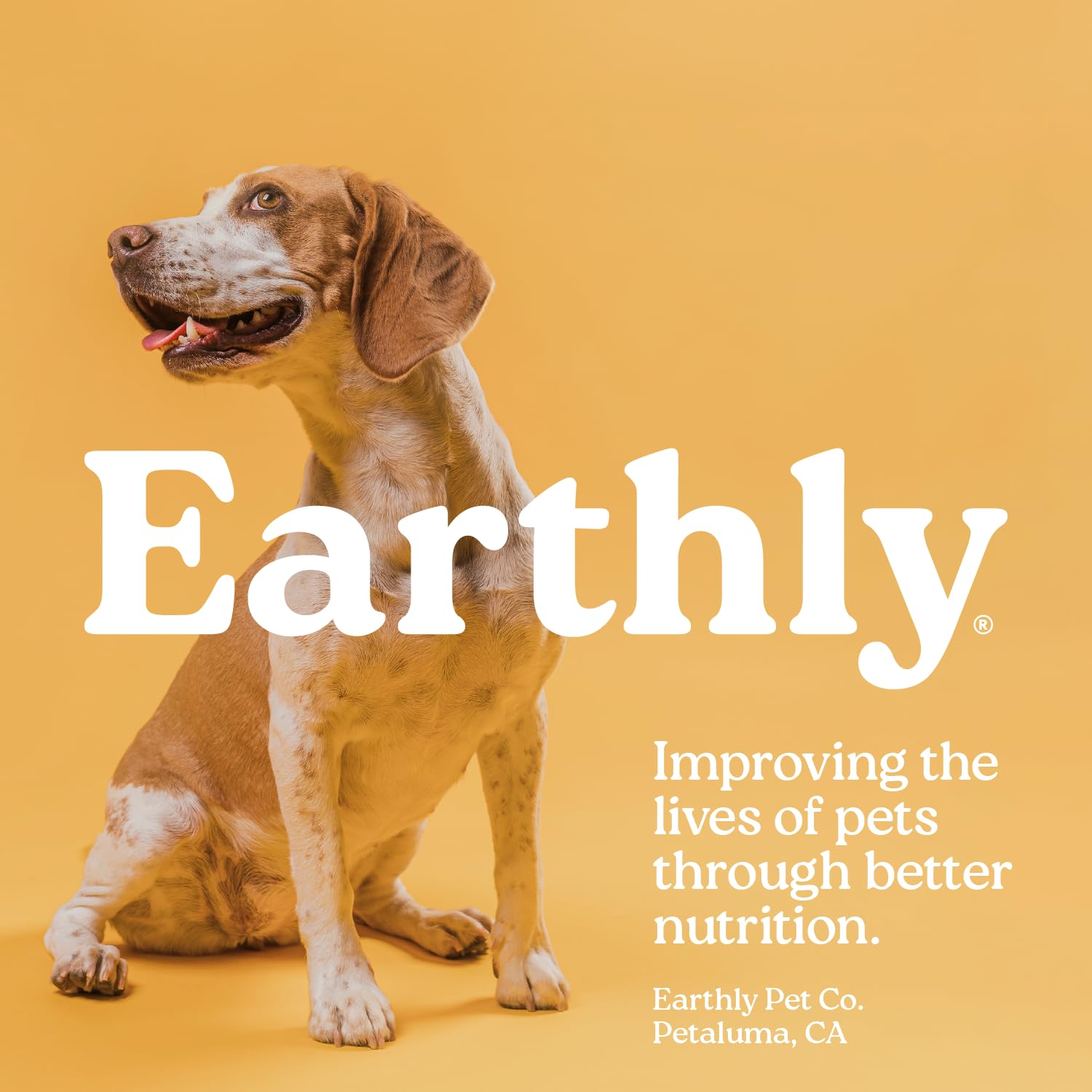 Presidio Earthly Pill Buddy Naturals duck-daily-medicine aid simplifies routines