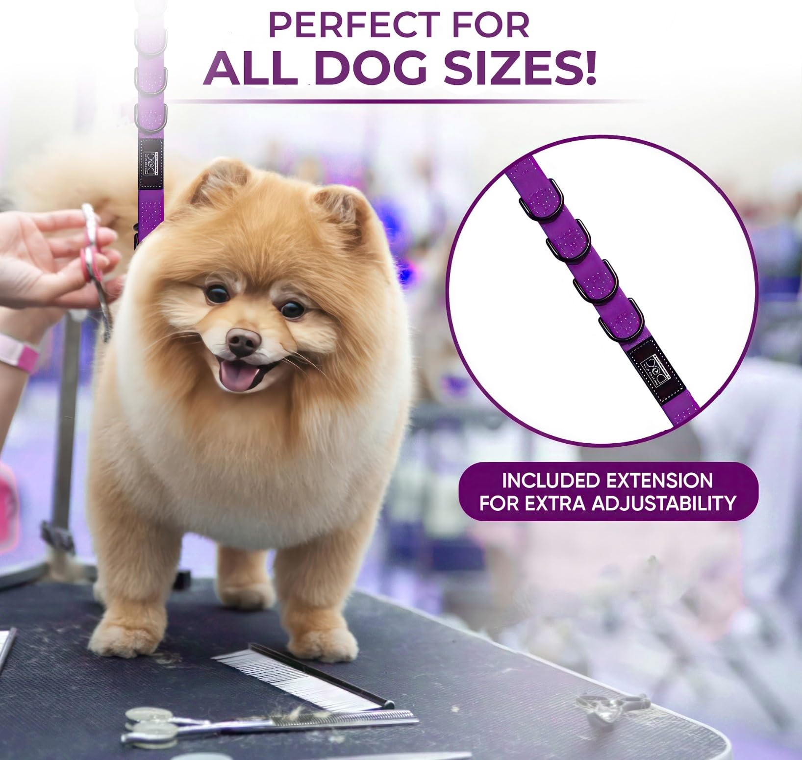 Prestige Elite blue grooming loop enhances visibility during baths and styling.