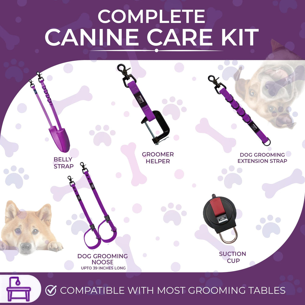 Prestige Elite dog grooming loop adjustable fits multiple dog sizes.