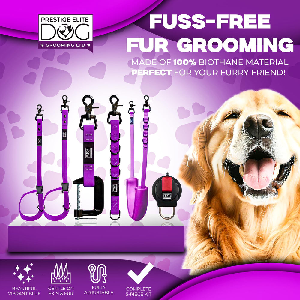Prestige Elite suction cup grooming provides hands-free stability at station.