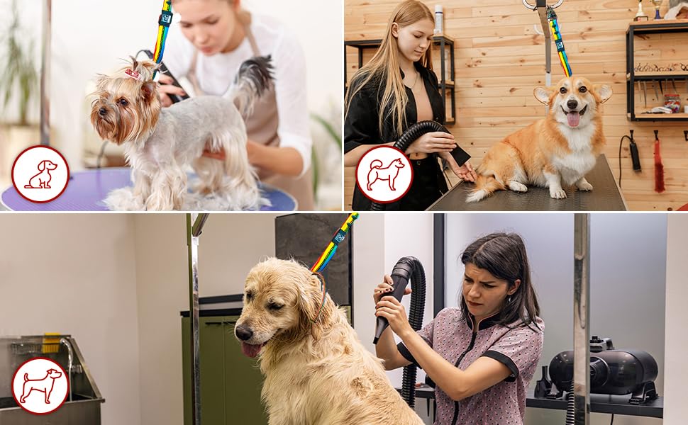 Prestige Elite waterproof dog loop cleans quickly after baths.