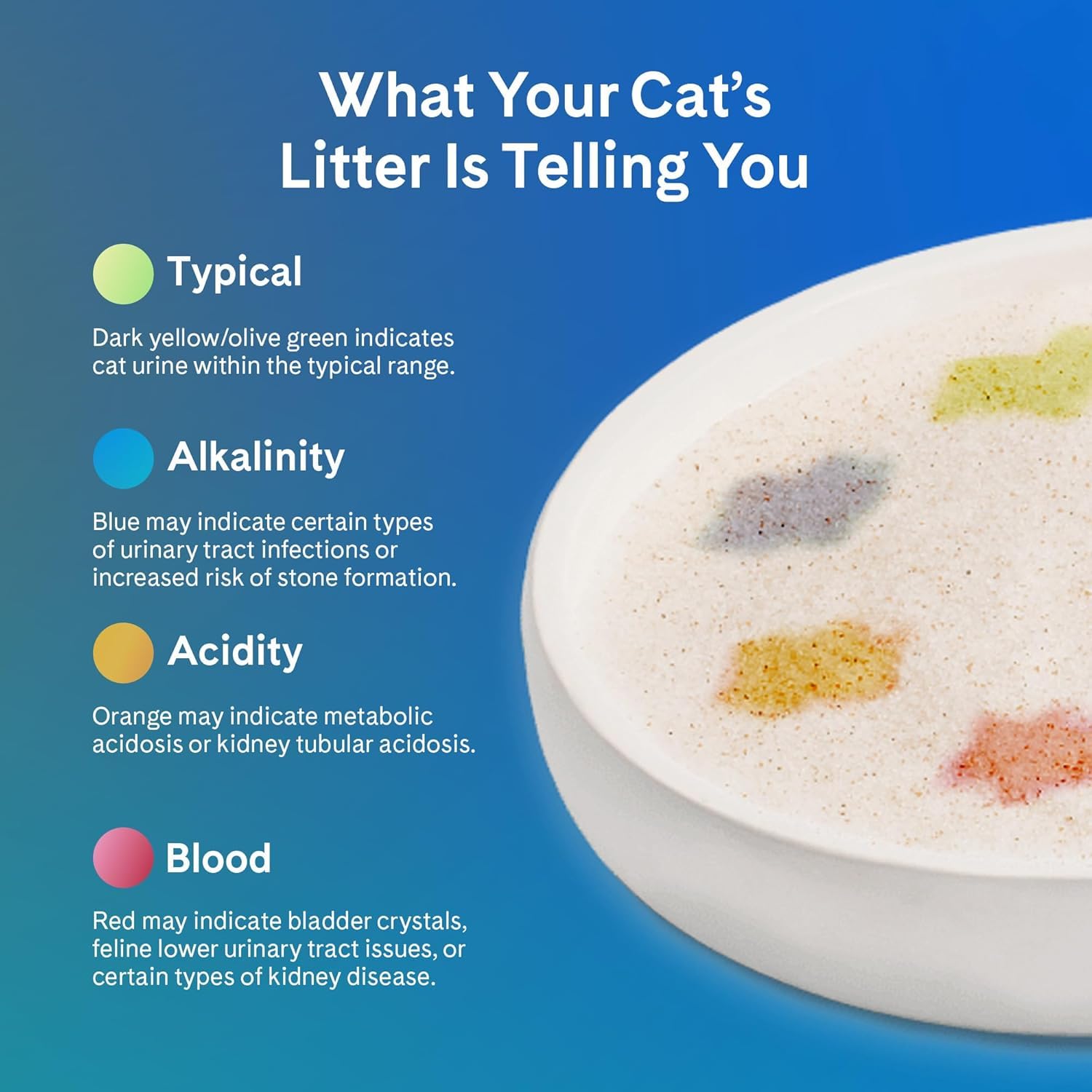 PrettyLitter two-month supply pack highlighting value and convenience