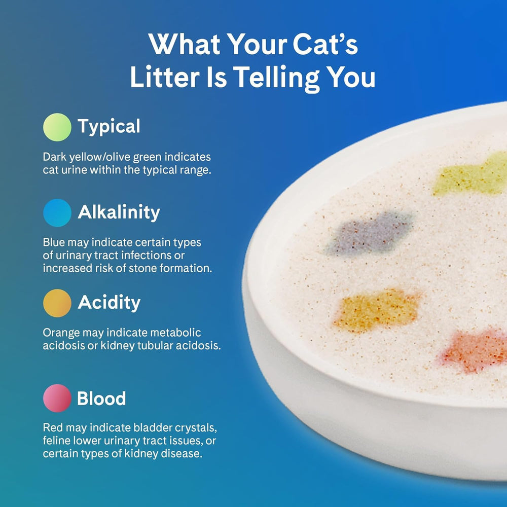 PrettyLitter two-month supply pack highlighting value and convenience