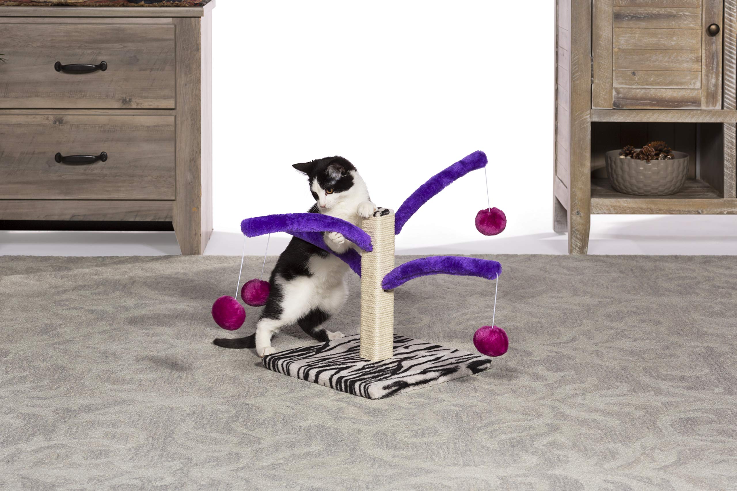PH Prevue Hendryx Kitty Power Bounce 'n Spring Scratcher 22x22 footprint supports compact spaces