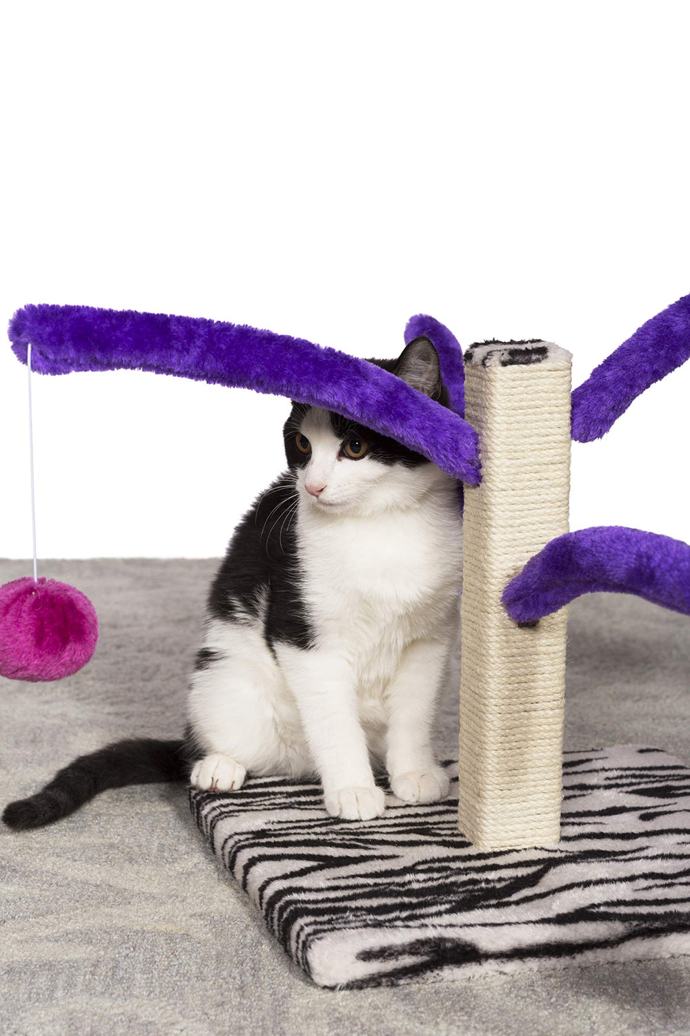 PH Prevue Hendryx Kitty Power Bounce 'n Spring Scratcher jute post for claw-friendly texture