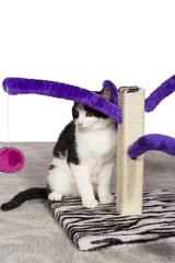 PH Prevue Hendryx Kitty Power Bounce 'n Spring Scratcher jute post for claw-friendly texture