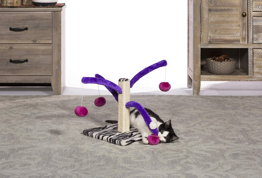 PH Prevue Hendryx Kitty Power Bounce 'n Spring Scratcher easy assembly no tools