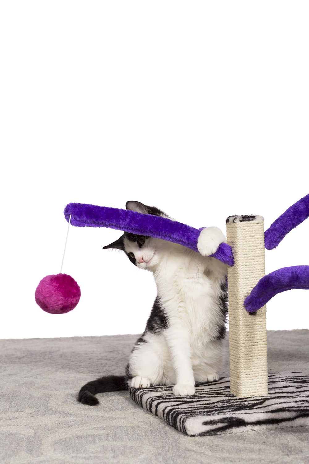 PH Prevue Hendryx Kitty Power Bounce 'n Spring Scratcher plush fabric comfort during downtime
