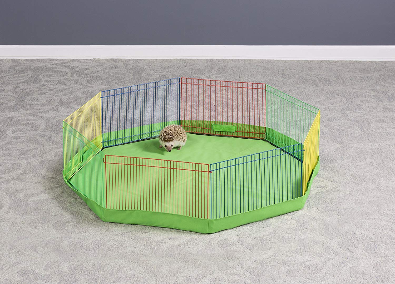 Prevue Hendryx small-pet-hamster setup supports safe, supervised exploration