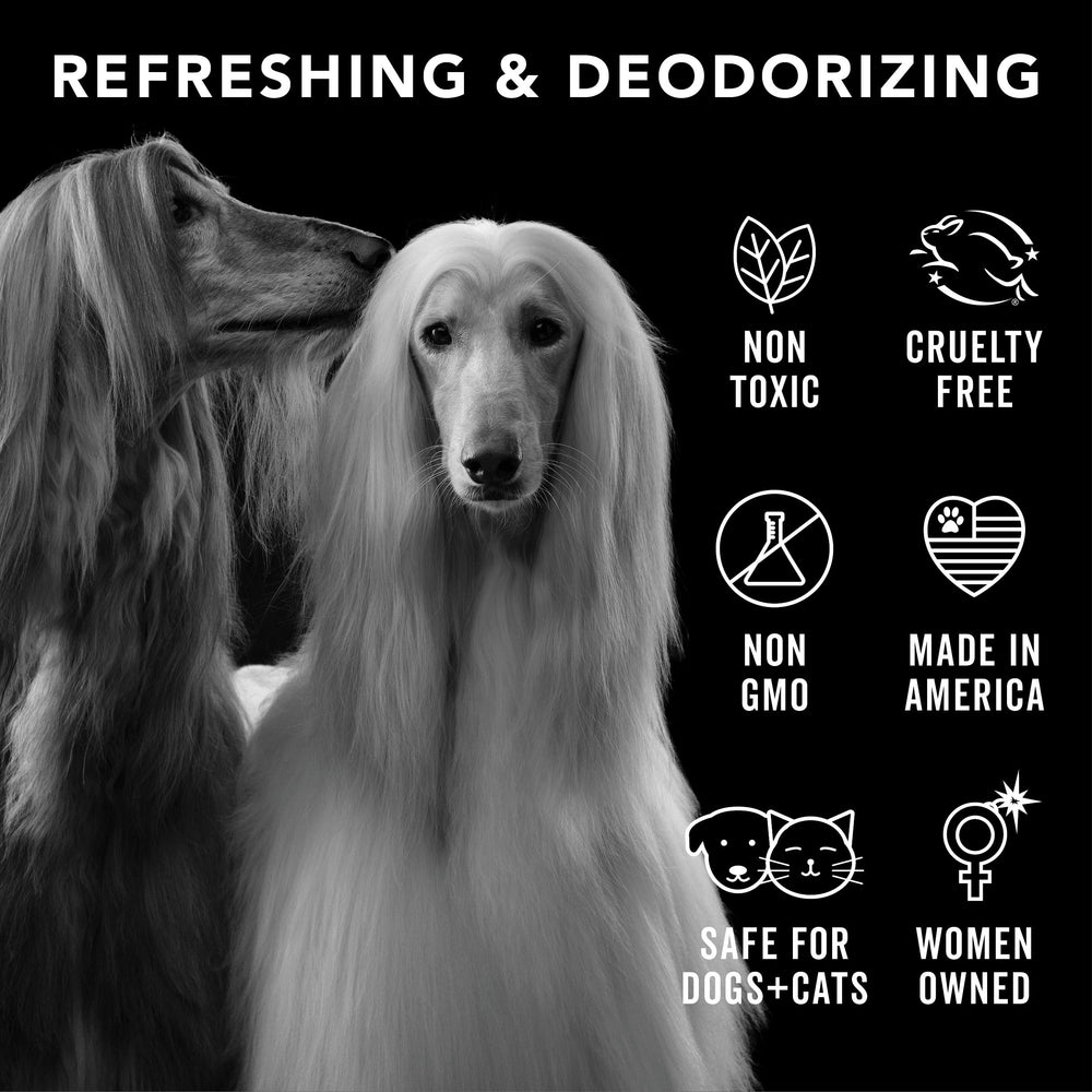 Pride and Groom Proud coat spray focusing on deodorizing and uplifting scent for dogs