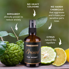 Pride and Groom Proud hypoallergenic spray for sensitive noses and skin in dogs