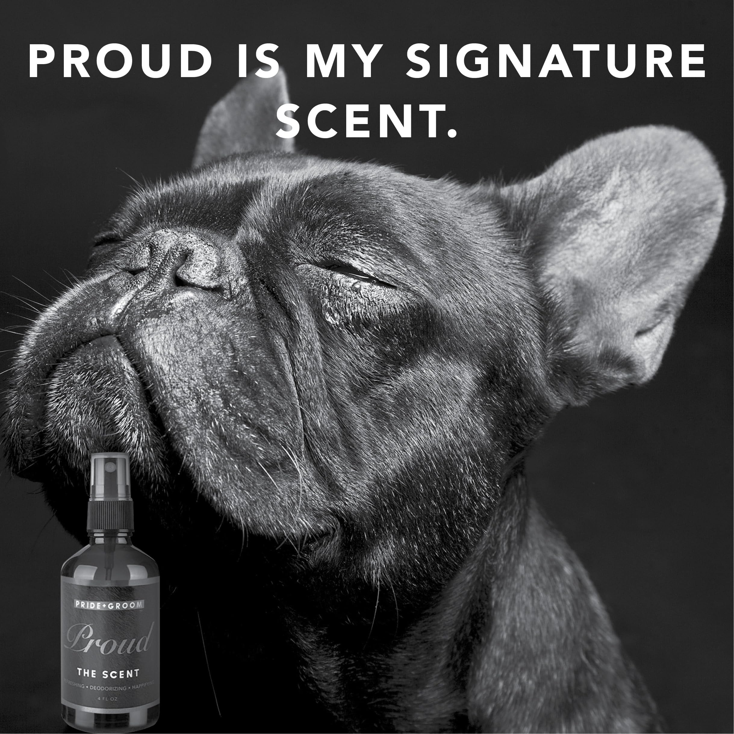 Pride and Groom Proud USA-made spray trusted by groomers for safety