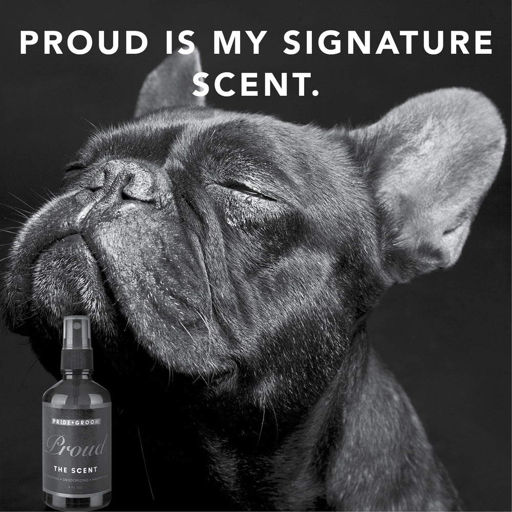 Pride and Groom Proud USA-made spray trusted by groomers for safety