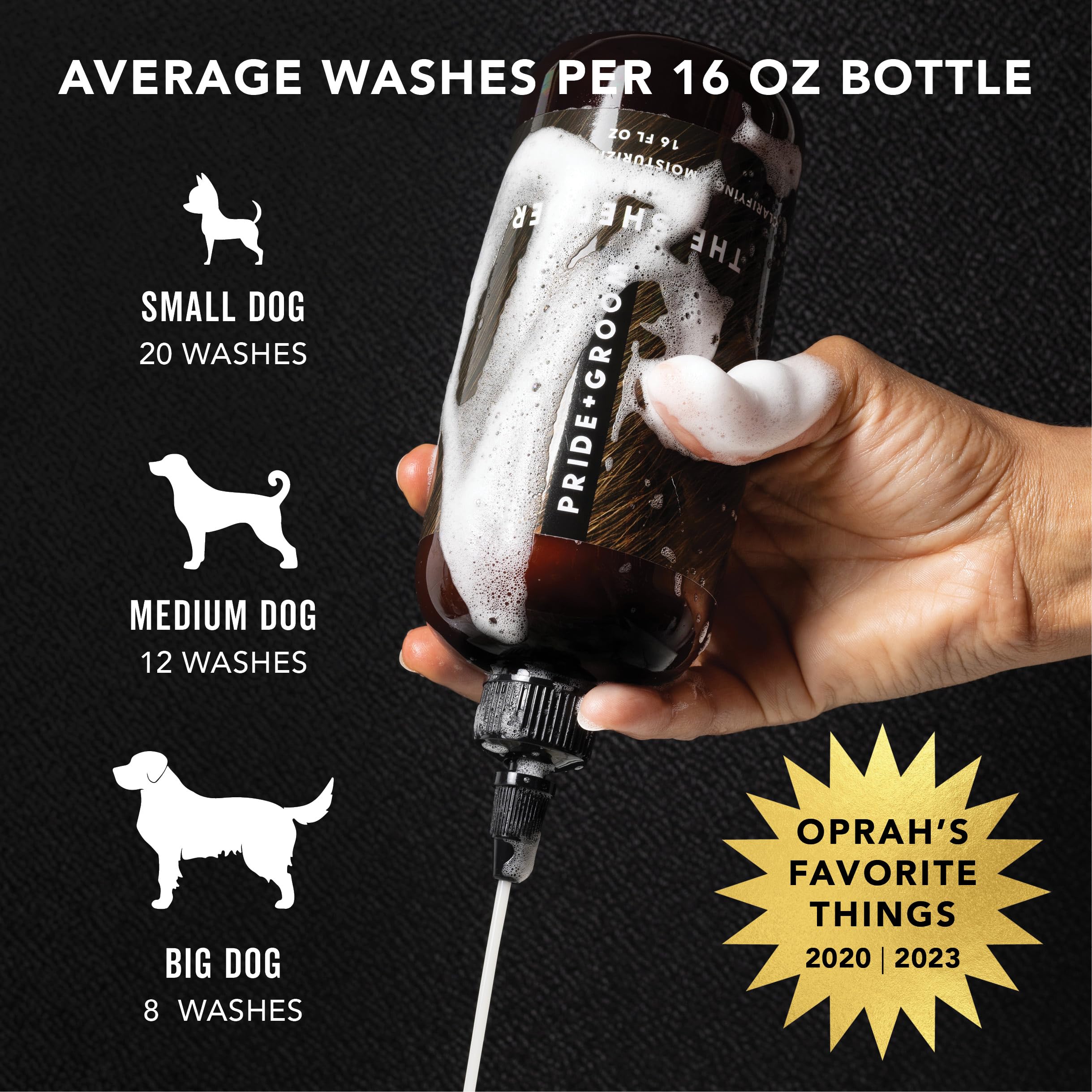 PRIDE AND GROOM box-set gift-box display signals premium coat care for dogs.