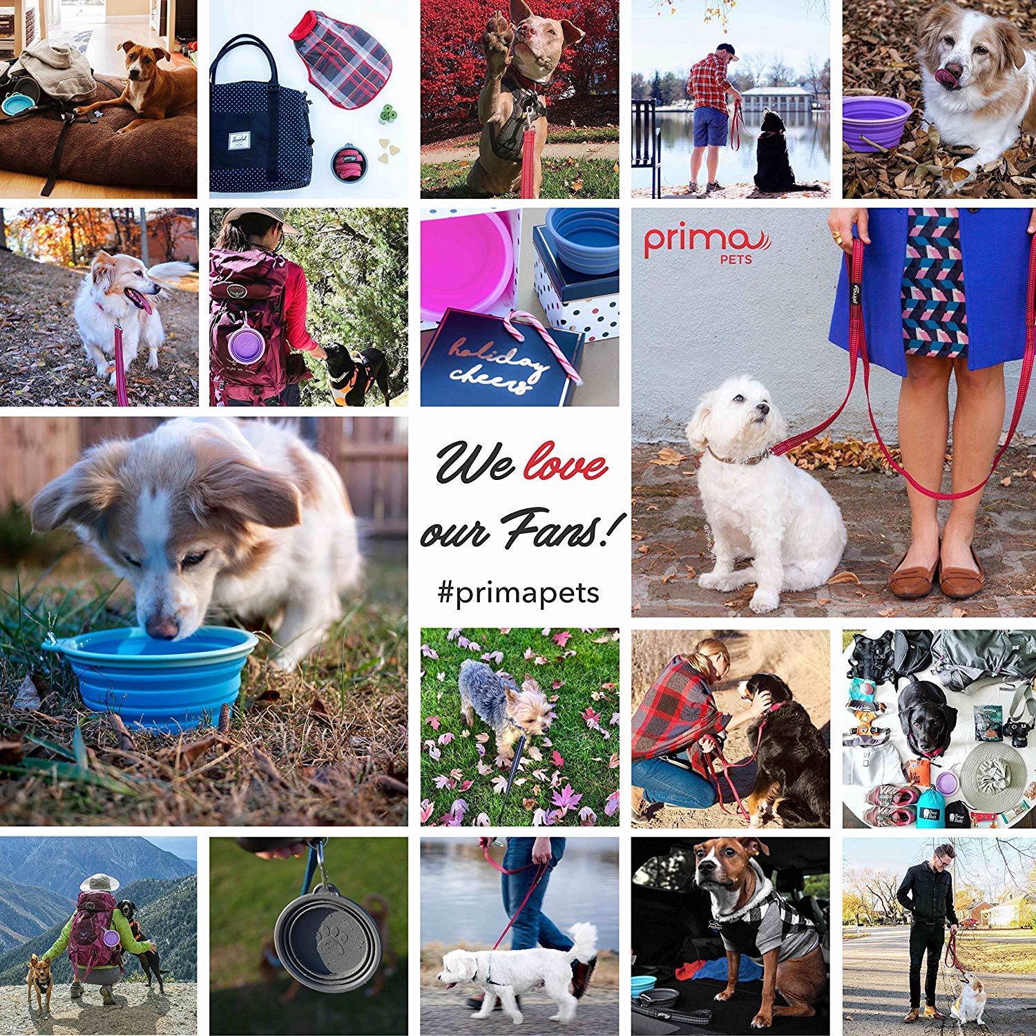 Prima Pets durable nylon leash for daily adventures with large dogs