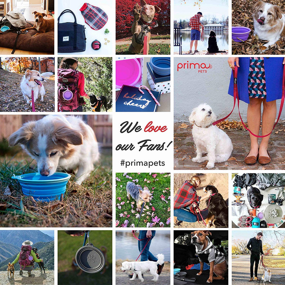 Prima Pets durable nylon leash for daily adventures with large dogs