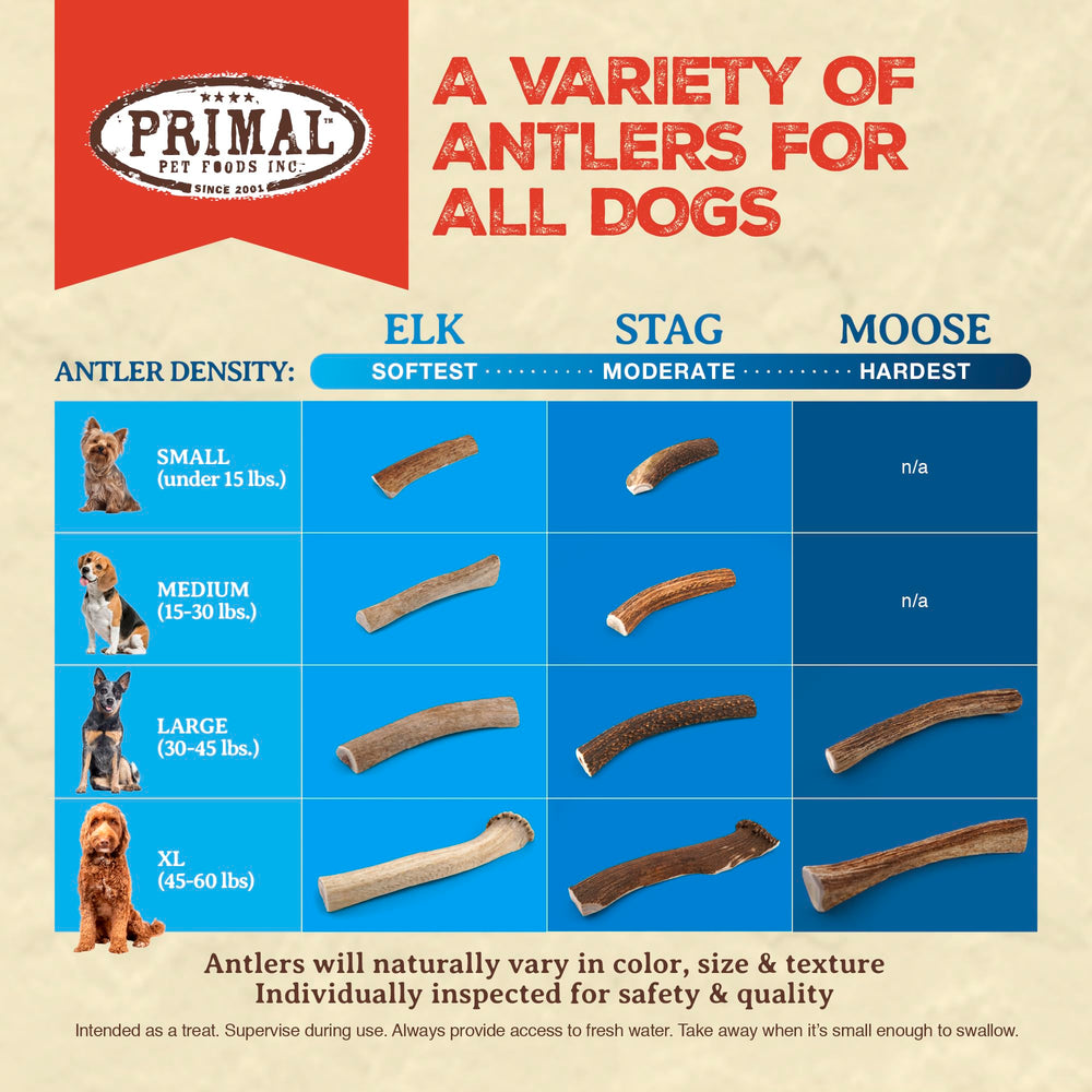 Primal Antlers bone marrow detail reveals nutrient-rich interior.