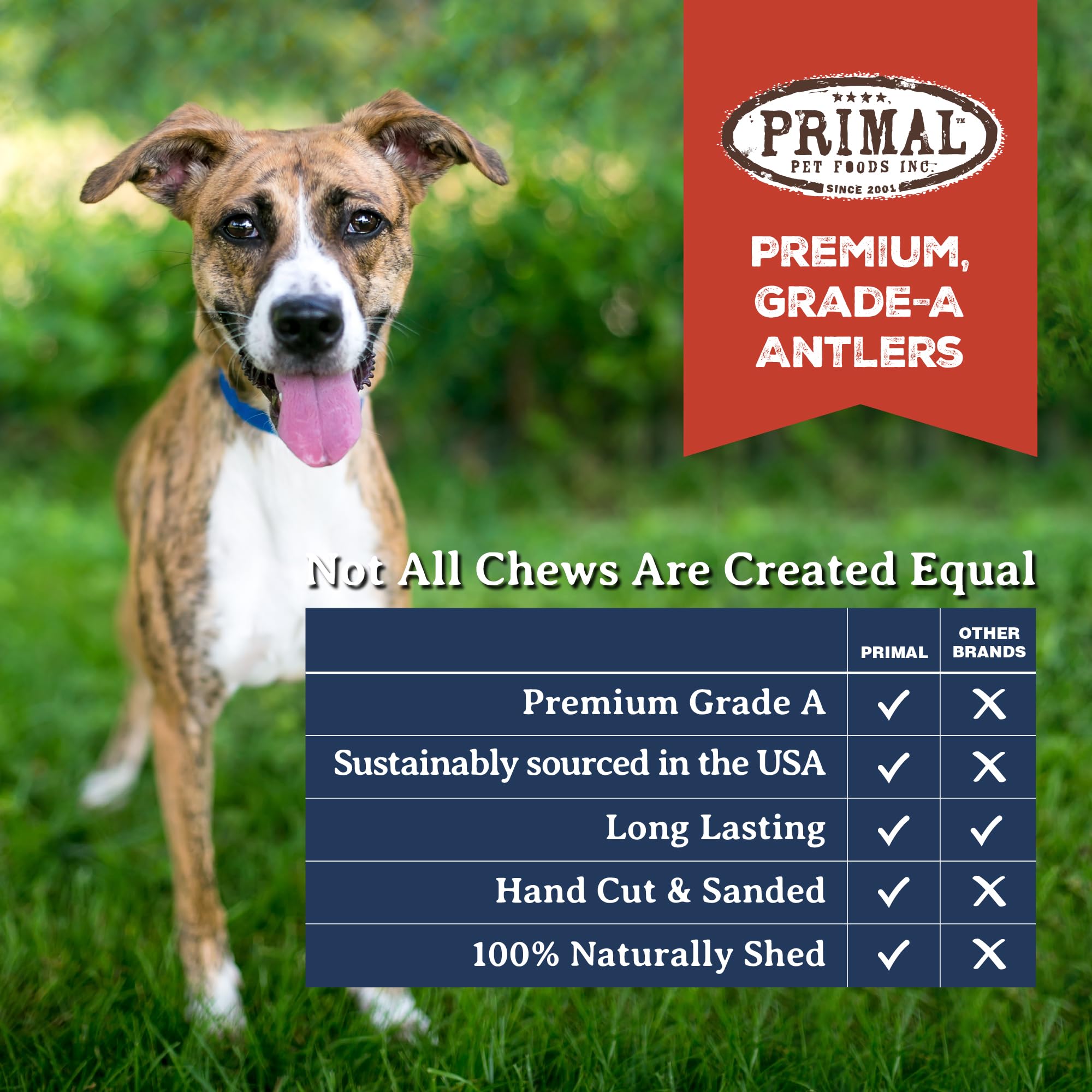 Primal Antlers for Dogs North American sourcing responsibly shed antlers buyers can trust