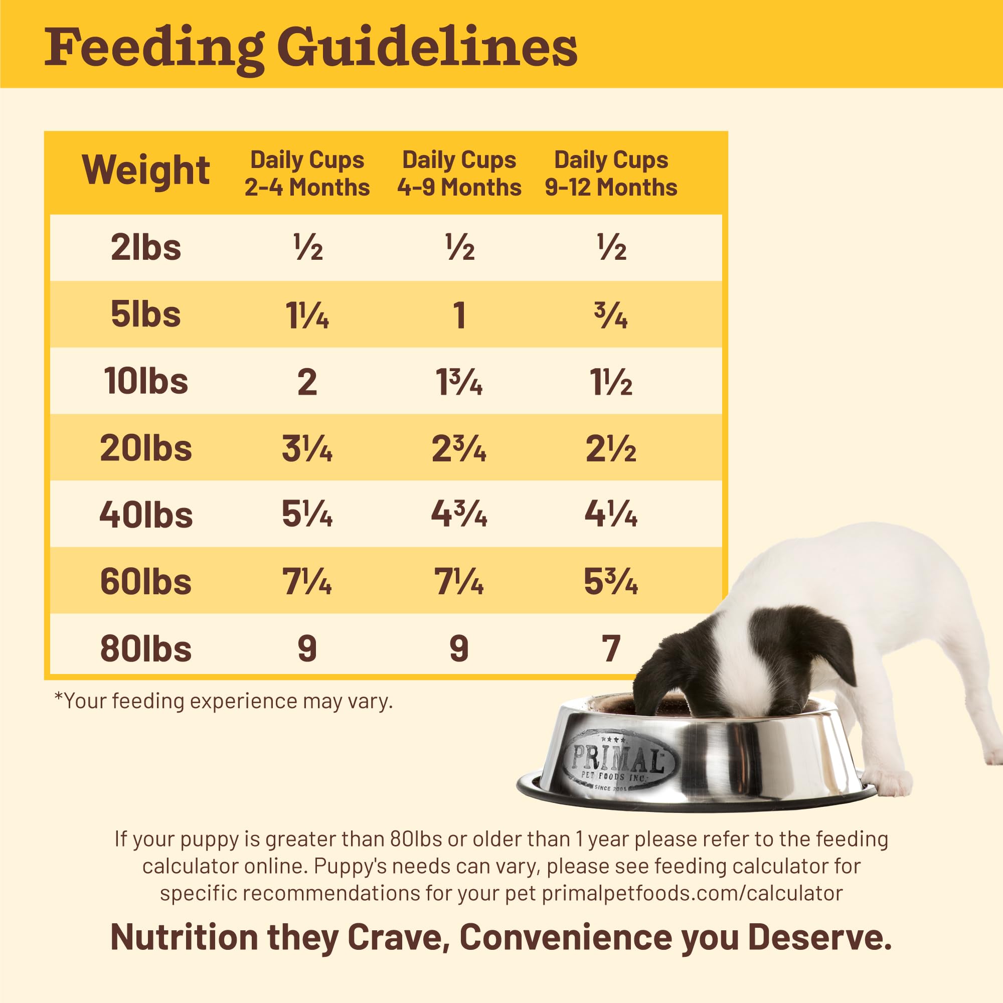 Primal Kibble in the Raw no-fillers-closeup highlights minimally processed nutrition.