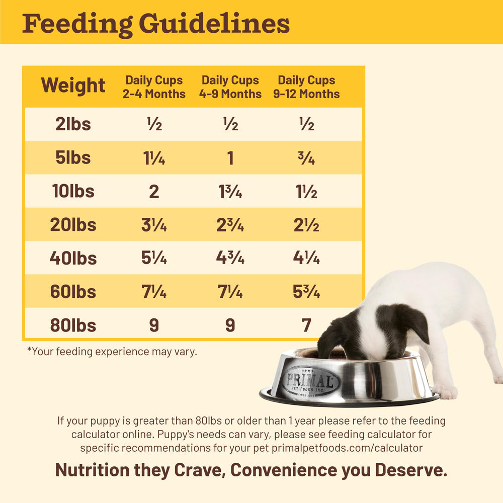 Primal Kibble in the Raw no-fillers-closeup highlights minimally processed nutrition.