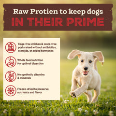 Primal Kibble in the Raw raw-protein chicken emphasizes cage-free protein for balanced development.