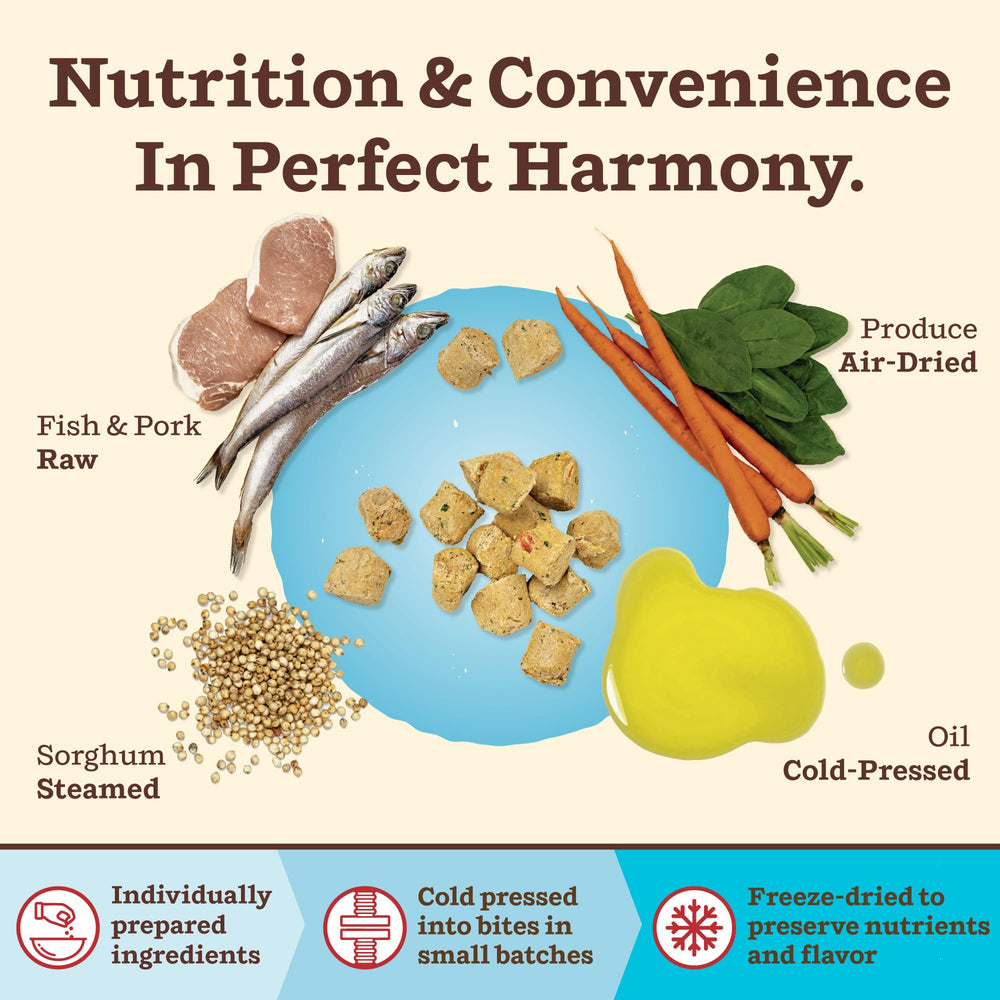 Primal Pet Foods Freeze-dried raw meat close-up highlighting texture.