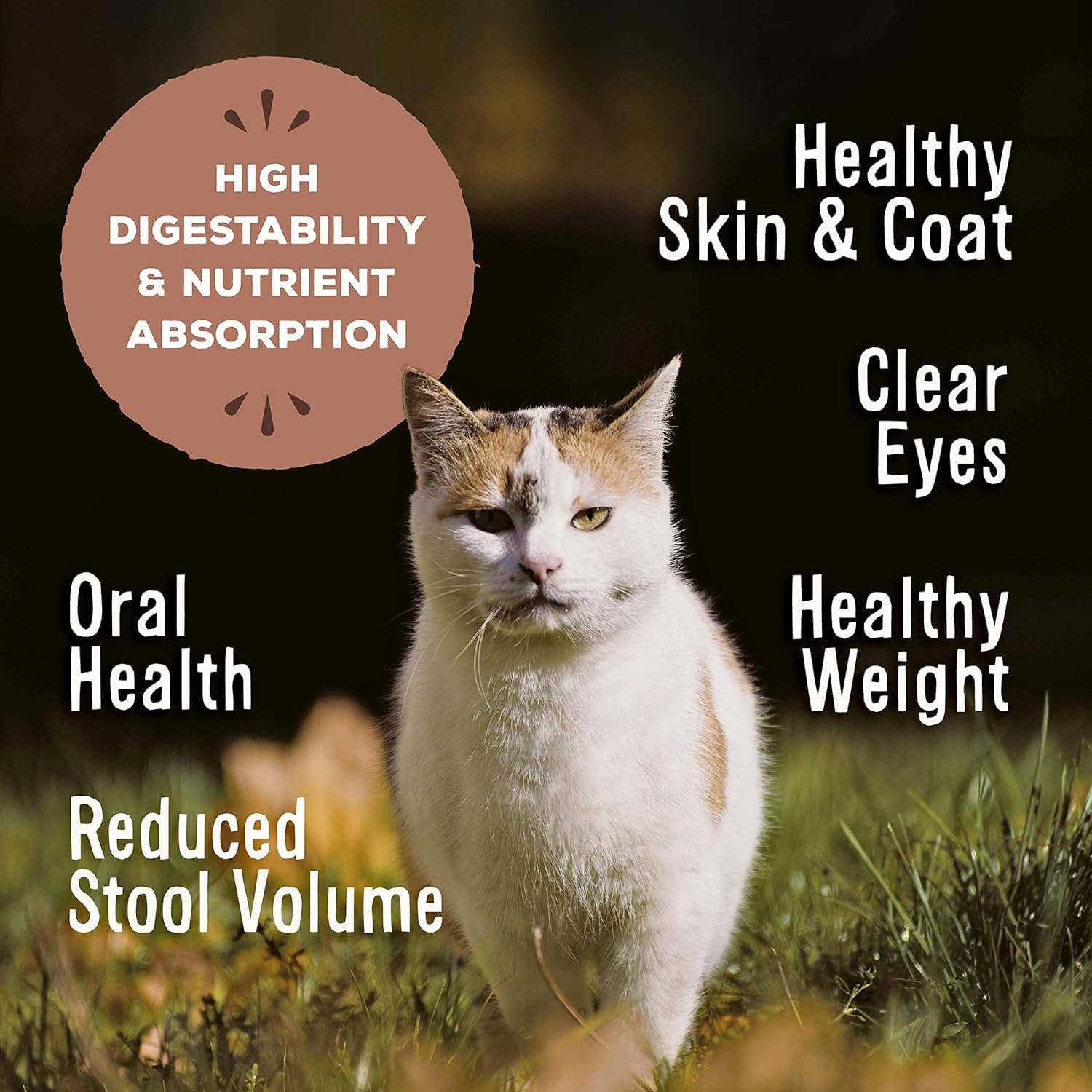 Primal Freeze-Dried Raw Cat Nuggets grain-free formula with probiotics in a bowl.