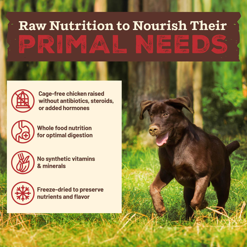 Primal Pet Foods organic carrots displayed for real whole-food nutrition.