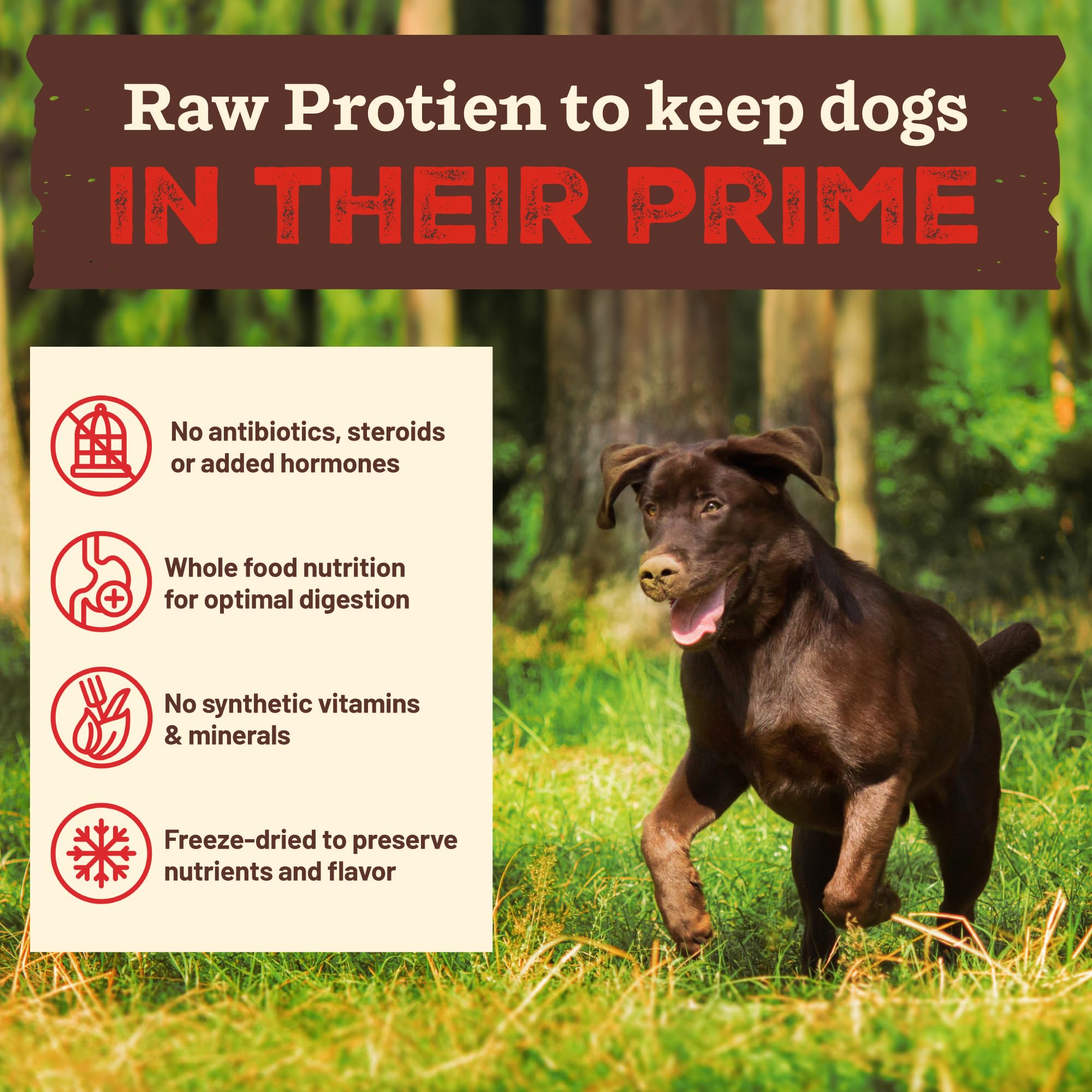 Primal Kibble texture close-up reveals freeze-dried chunks of raw-inspired bite