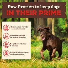 Primal Kibble texture close-up reveals freeze-dried chunks of raw-inspired bite