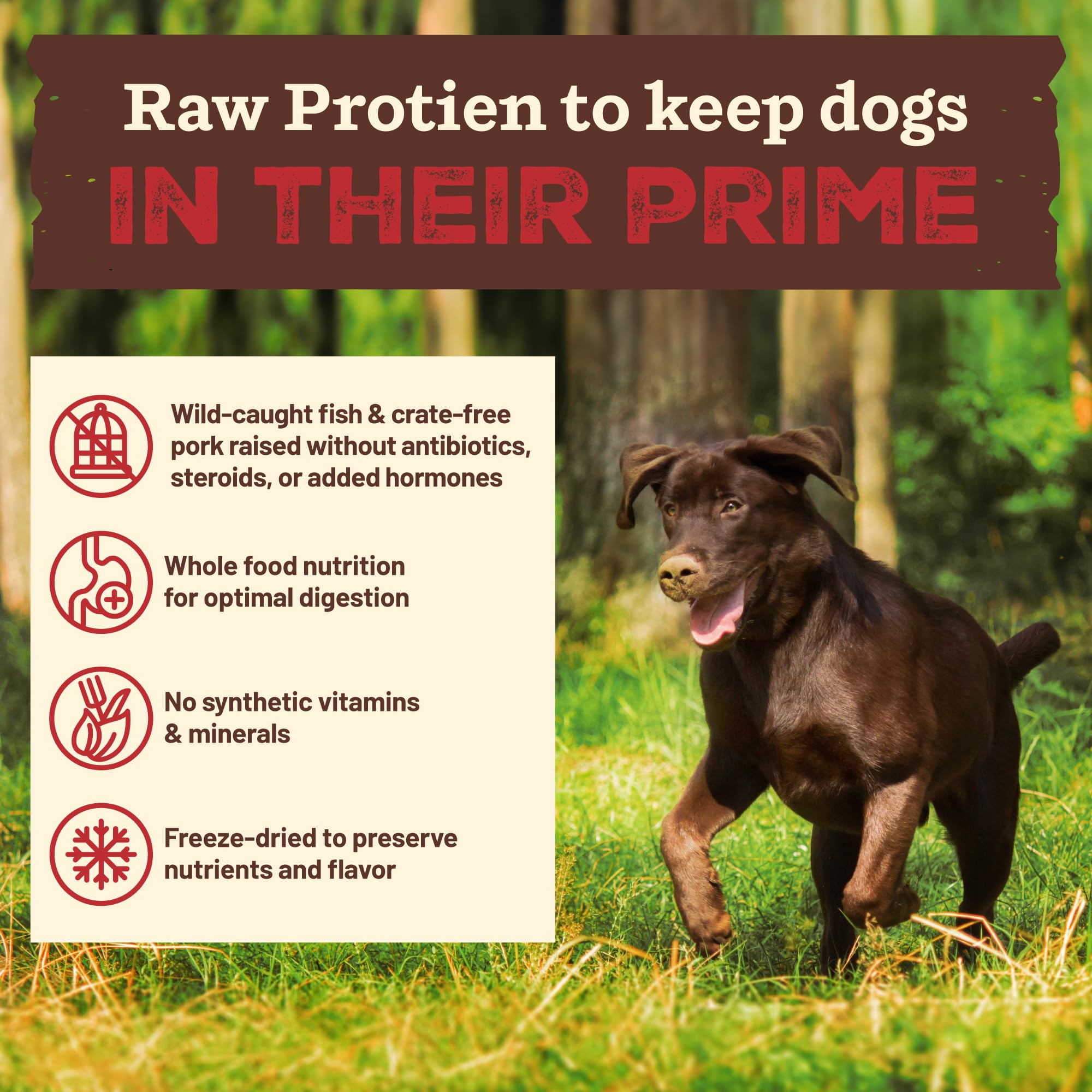 Primal Pet Foods Ready-to-serve kibble in bag for quick feeding.
