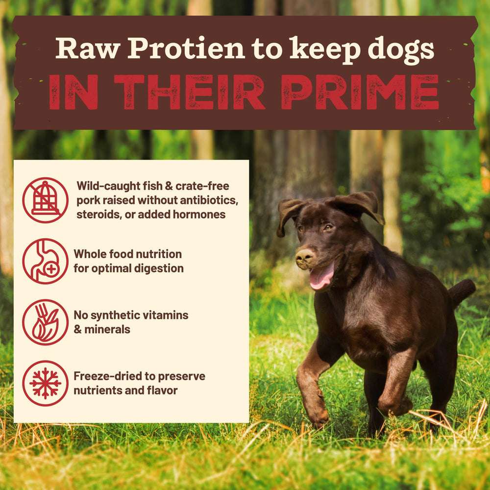 Primal Pet Foods Ready-to-serve kibble in bag for quick feeding.