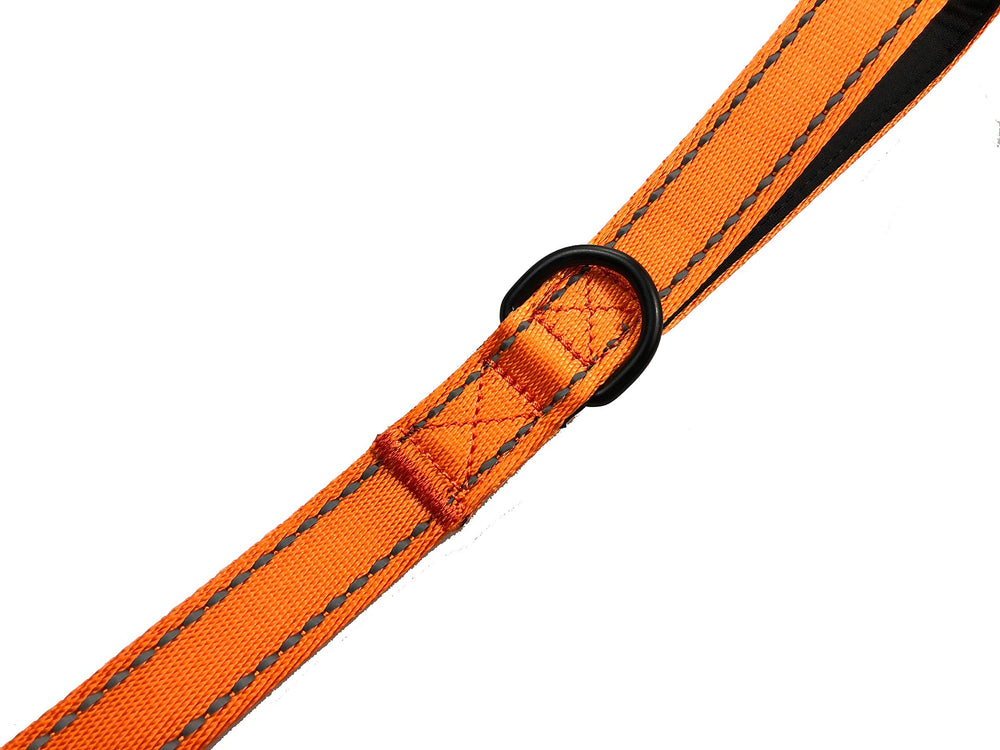 Primal Pet Gear 6ft length supports comfortable training