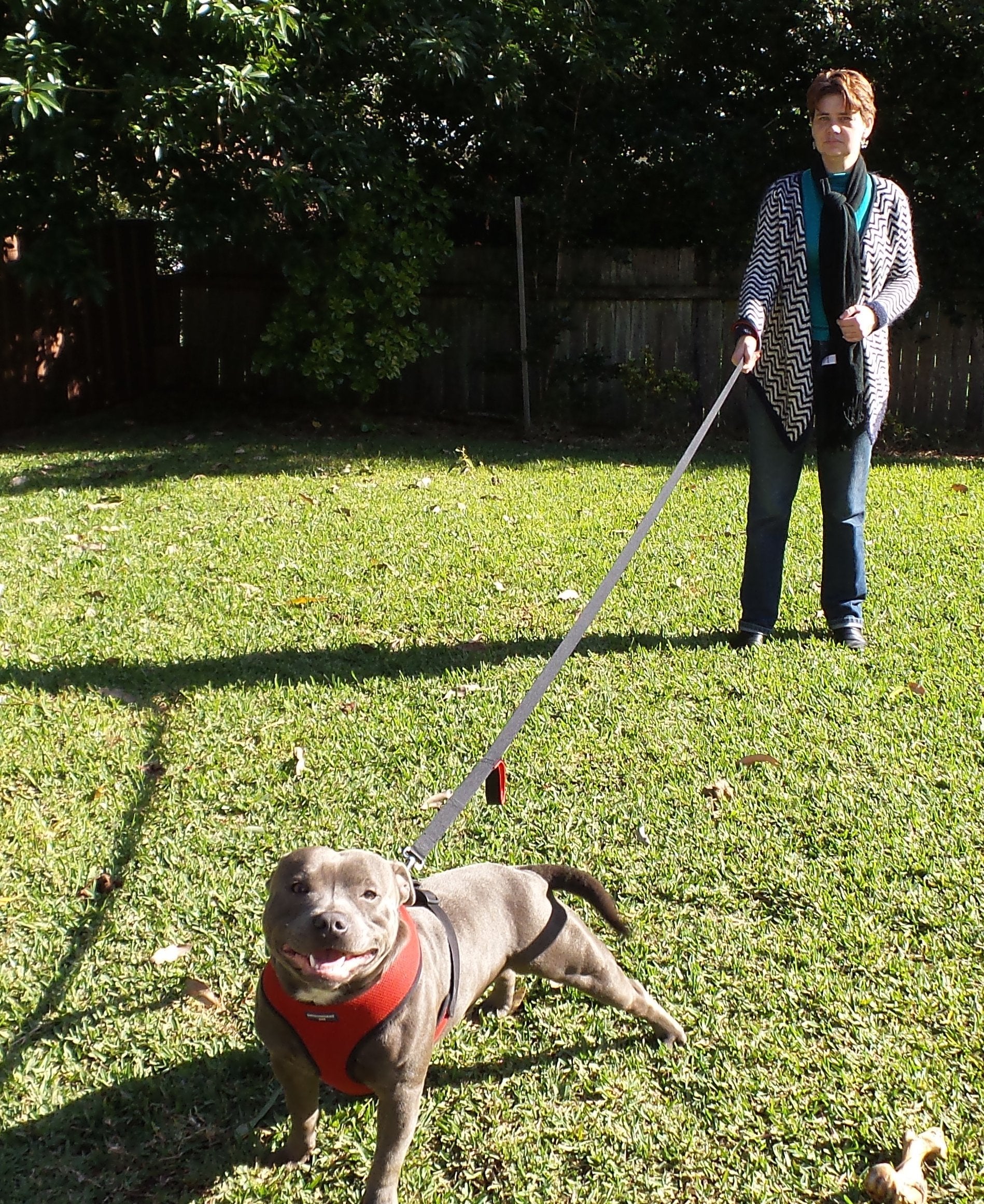 Primal Pet Gear red padded handles provide comfortable hand positions.