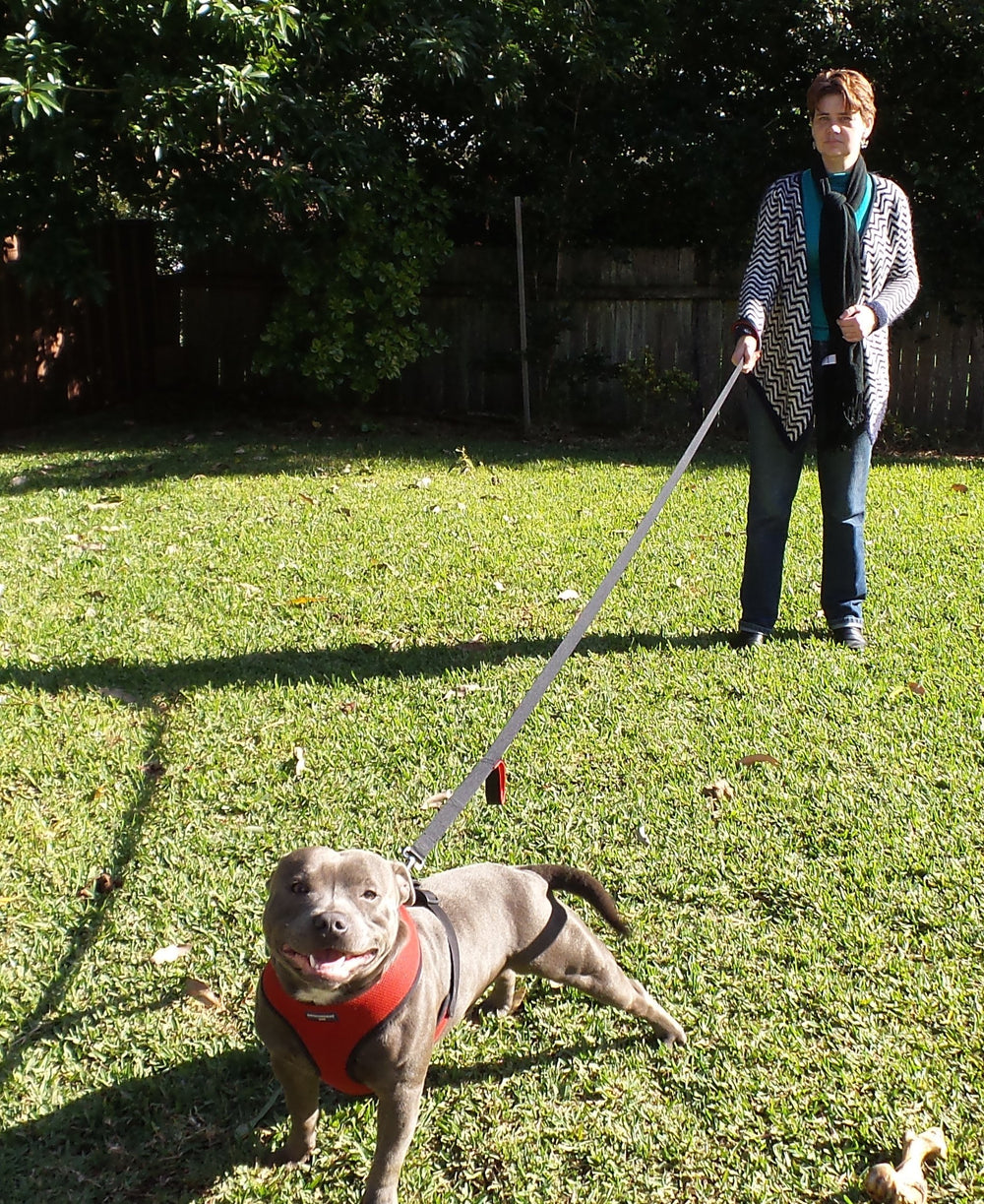 Primal Pet Gear red padded handles provide comfortable hand positions.