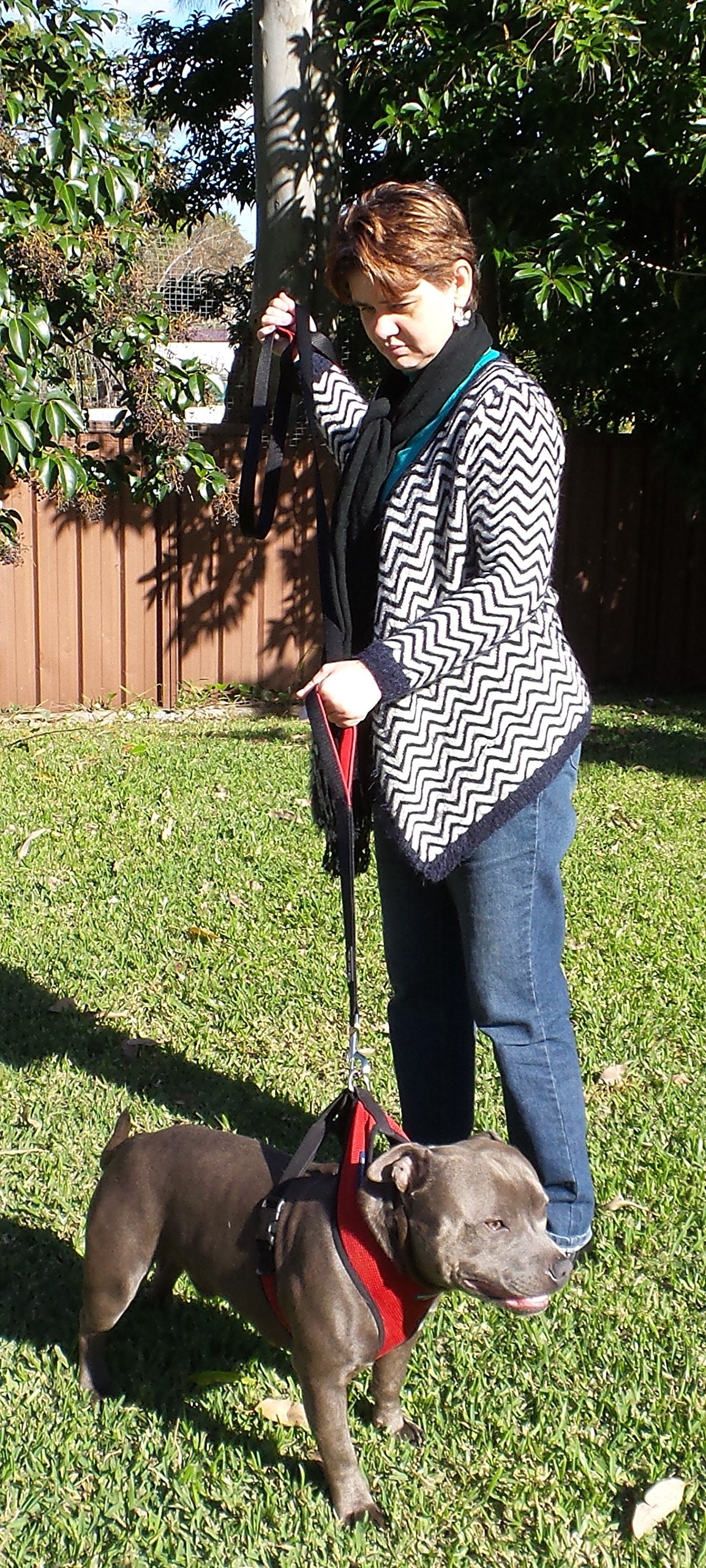 Primal Pet Gear heavy-duty clip keeps secure attachment during busy walks.