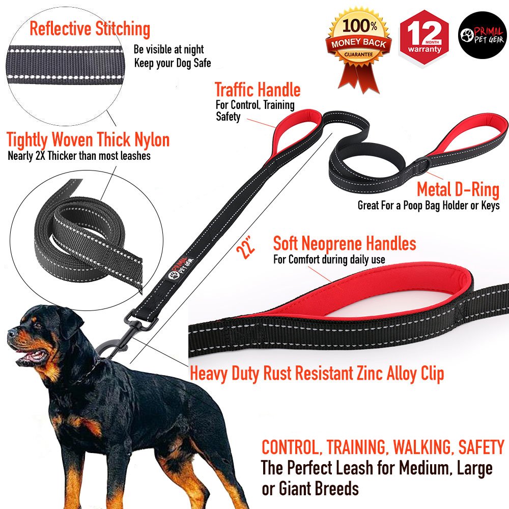 Primal Pet Gear leash with traffic-padded handles for comfortable grip on crowded sidewalks.