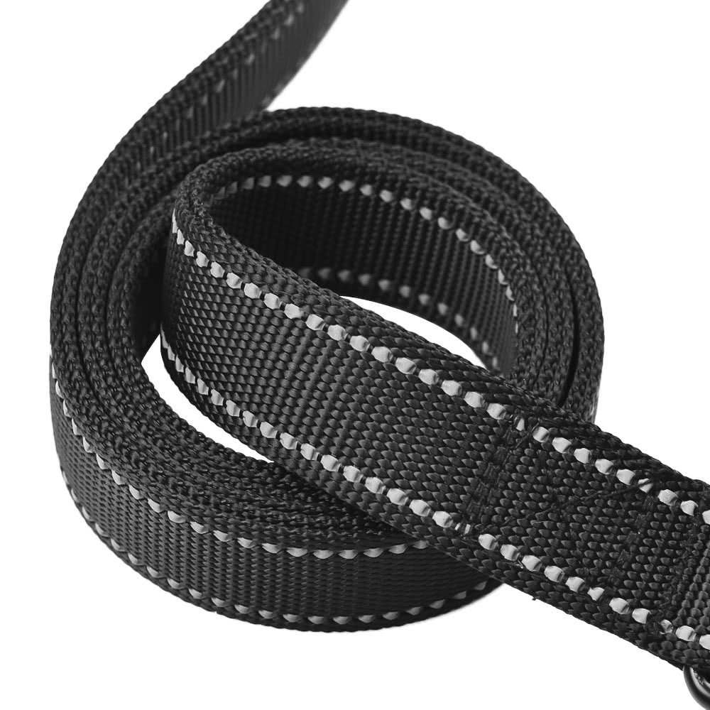 Primal Pet Gear 8ft leash ideal for extended sniffing and relaxed exploration.