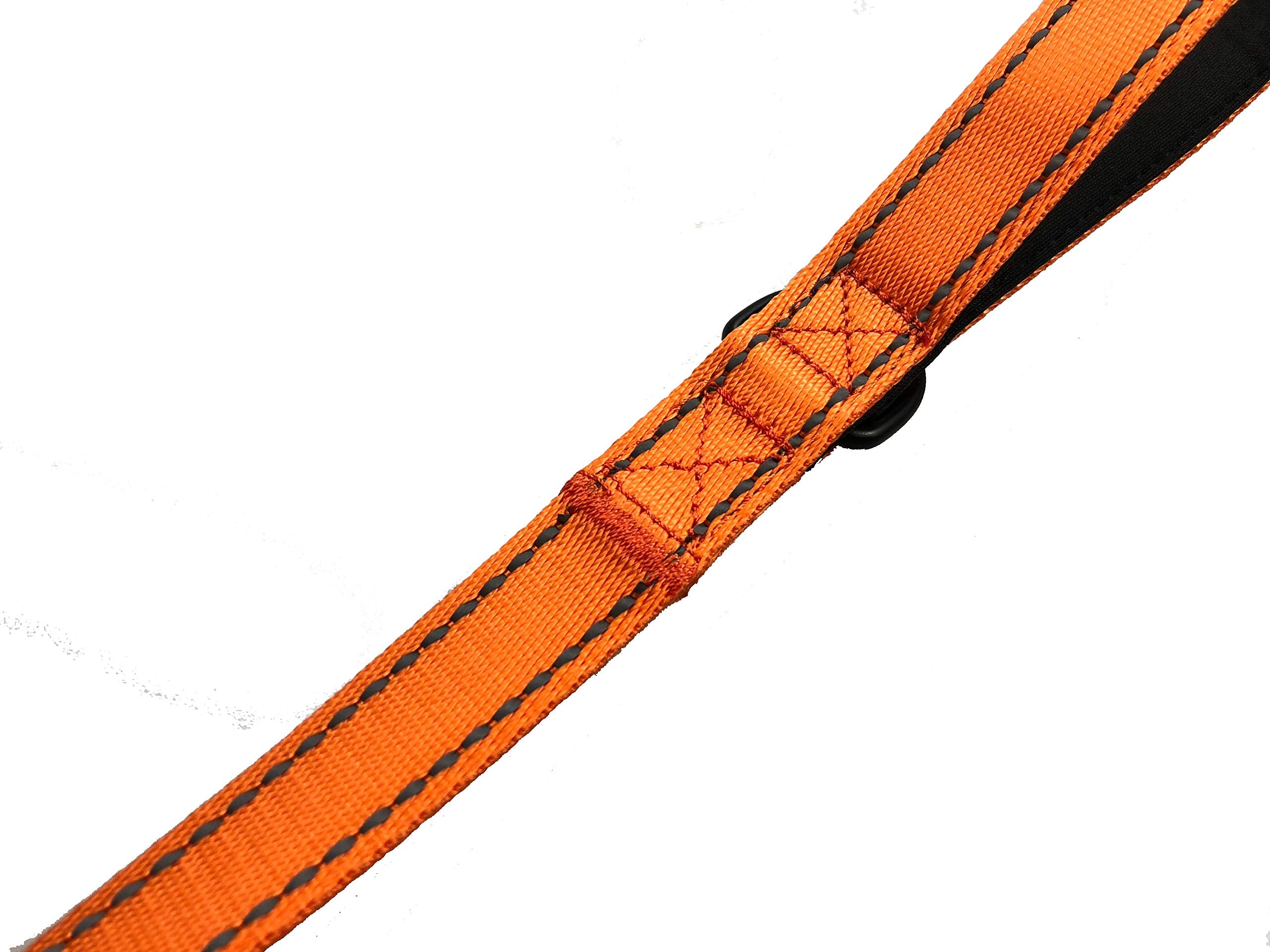Primal Pet Gear night-visibility leash improves dusk safety